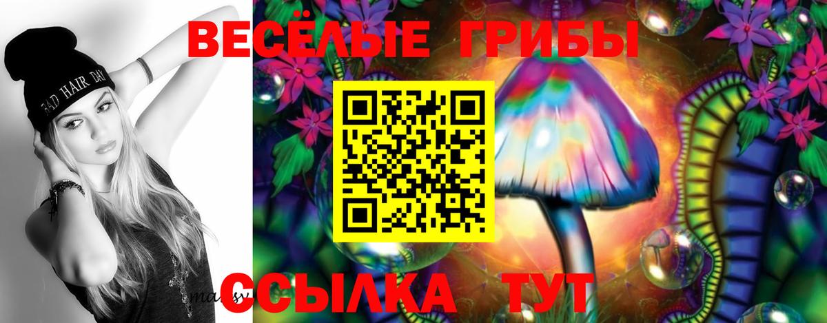 Галлюциногенные грибы мицелий Заречный