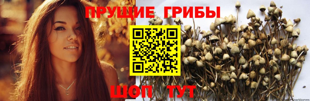 Меф Заречный