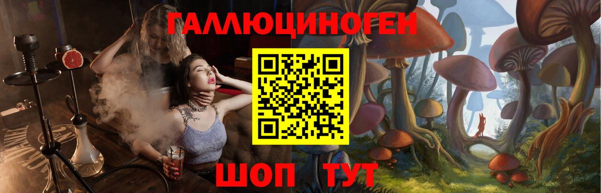 Заречный  Галлюциногенные грибы ЛСД  Вход с VPN 